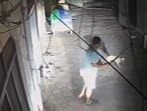 The accused, Sharanjit Singh, was caught on CCTV cameras while attacking the stray dogs with his hockey stick on Monday night. One dog was seriously injured and died. (HT) The accused, Sharanjit Singh, was caught on CCTV cameras while attacking the stray dogs with his hockey stick on Monday night. One dog was seriously injured and died. (HT)