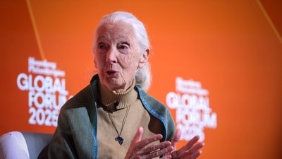 Jane Goodall, founder of the Jane Goodall Institute, has died at 91 (Bloomberg)