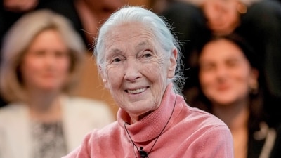 FILE - English primatologist and anthropologist Jane Goodall speaks on a panel "Earth's Wisdom Keepers" at the forum's annual meeting in Davos, Switzerland, Jan. 19, 2024. (AP Photo/Markus Schreiber, File) (AP) FILE - English primatologist and anthropologist Jane Goodall speaks on a panel "Earth's Wisdom Keepers" at the forum's annual meeting in Davos, Switzerland, Jan. 19, 2024. (AP Photo/Markus Schreiber, File) (AP)