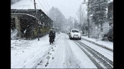 The MeT issued an advisory to the farmers to continue harvesting of paddy & other horticultural crops including safe storage & other farm operations till October 4 (afternoon). (HT representative)