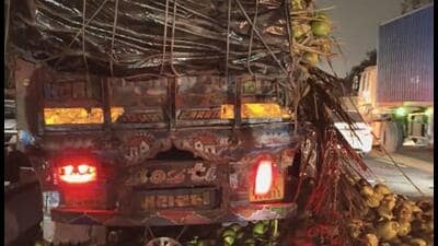 The entire coconut consignment got scattered on the expressway affecting traffic movement. (HT)
