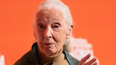 Jane Goodall passed away when she was in California. (REUTERS)