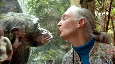 Jane Goodall has authored notable books like The Chimpanzees of Gombe: Patterns of Behavior. (AFP) Jane Goodall has authored notable books like The Chimpanzees of Gombe: Patterns of Behavior. (AFP)