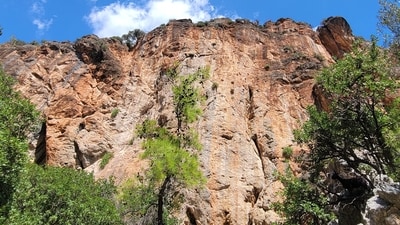 An optical illusion shared on Reddit showed a scenic cliff where a hidden goat left users debating, (Reddit/RiskyMama) An optical illusion shared on Reddit showed a scenic cliff where a hidden goat left users debating, (Reddit/RiskyMama)