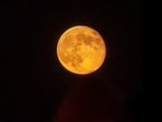 The supermoon, which will be visible on October 6, is also known as the Harvest Moon because of the season in which it occurs(Robert Cohen/St. Louis Post-Dispatch via AP)