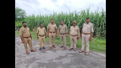 Following the incident, forest teams intensified patrolling in Bahraich villages. (File photo)