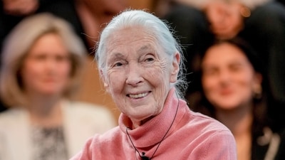 British primatologist Jane Goodall has died at 91. In her final Netflix interview, she urged people to protect the planet. (AP Photo/Markus Schreiber, File) (AP) British primatologist Jane Goodall has died at 91. In her final Netflix interview, she urged people to protect the planet. (AP Photo/Markus Schreiber, File) (AP)