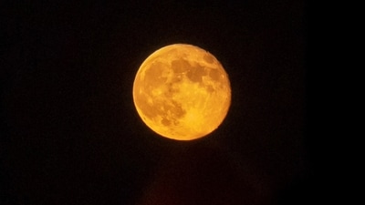 The supermoon, which will be visible on October 6, is also known as the Harvest Moon because of the season in which it occurs (Robert Cohen/St. Louis Post-Dispatch via AP) The supermoon, which will be visible on October 6, is also known as the Harvest Moon because of the season in which it occurs (Robert Cohen/St. Louis Post-Dispatch via AP)
