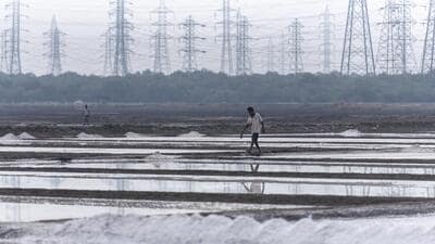 Mumbai, India - February 11, 2020: Salt pan workers at Wadala salt pans, Wadala, Mumbai, India, on February 11 2020. (Photo by Aalok Soni/ Hindustan Times) (Aalok Soni/HT PHOTO) Mumbai, India - February 11, 2020: Salt pan workers at Wadala salt pans, Wadala, Mumbai, India, on February 11 2020. (Photo by Aalok Soni/ Hindustan Times) (Aalok Soni/HT PHOTO)