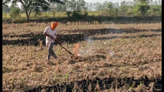 Typically, the PPCB begins monitoring stubble burning cases from September 15 to November 30, as the harvesting season ramps up across the state. So far this year, only 95 stubble burning incidents have been reported statewide — a stark contrast to the 179 cases recorded during the same period in 2024. (ANI File)