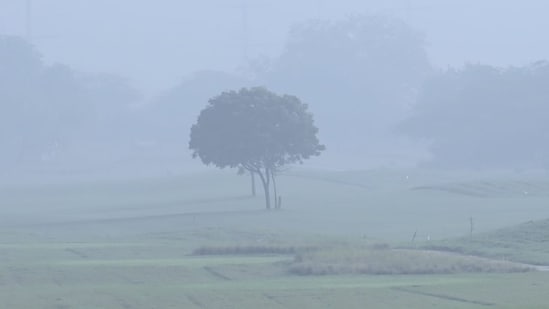 The maximum temperature is expected to settle at around 33 degrees Celsius.(HT Photo/ Arvind Yadav)