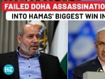 Al-Hayya Walks Into Cairo Talks Alive As Trump Forces Netanyahu To Leash IDF For Gaza Plan Al-Hayya Walks Into Cairo Talks Alive As Trump Forces Netanyahu To Leash IDF For Gaza Plan