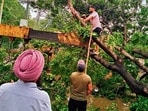 PSPCL officials said that around 50 feeders tripped after storm and work is underway to restore supply. (HT Photo)