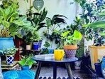 The garden, in its own way, teaches me patience. It follows its rhythm, its seasons. (Representational image)