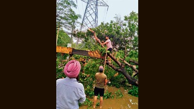 PSPCL officials said that around 50 feeders tripped after storm and work is underway to restore supply. (HT Photo) PSPCL officials said that around 50 feeders tripped after storm and work is underway to restore supply. (HT Photo)