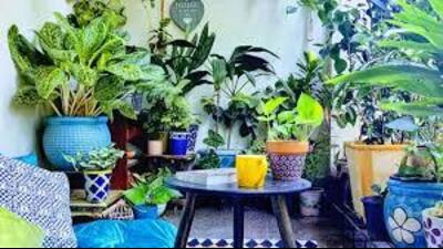 The garden, in its own way, teaches me patience. It follows its rhythm, its seasons. (Representational image) The garden, in its own way, teaches me patience. It follows its rhythm, its seasons. (Representational image)