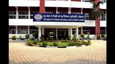 The union has been demanding a revision of the internship stipend from ₹15,000 to ₹24,310. (HT Photo) The union has been demanding a revision of the internship stipend from ₹15,000 to ₹24,310. (HT Photo)