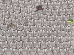 Optical Illusion: Only champions can find a cat among the raccoons in five seconds, can you? Optical Illusion: Only champions can find a cat among the raccoons in five seconds, can you?