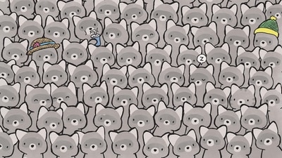 Optical Illusion: Only champions can find a cat among the raccoons in five seconds, can you? (reddit/r/FindTheSniper)