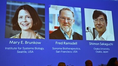 A screen showing the photos of Mary E Brunkow, Fred Ramsdell and Shimon Sakaguchi who were awarded the Nobel Prize in Medicine or Physiology, at the Nobel Assembly of the Karolinska Institutet, in Stockholm, Sweden, Monday, Oct. 6, 2025. (Claudio Bresciani/TT News Agency via AP) (AP) A screen showing the photos of Mary E Brunkow, Fred Ramsdell and Shimon Sakaguchi who were awarded the Nobel Prize in Medicine or Physiology, at the Nobel Assembly of the Karolinska Institutet, in Stockholm, Sweden, Monday, Oct. 6, 2025. (Claudio Bresciani/TT News Agency via AP) (AP)