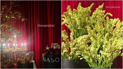 Shalini Passi's Mash Ball was made more special with decorations that included interesting light fixtures and tuberose, also known as rajnigandha (Polianthes tuberosa), a popular Indian flower known for its fragrant and delicate white blooms. (Pics courtesy: Shalini Passi and Mash India) Shalini Passi's Mash Ball was made more special with decorations that included interesting light fixtures and tuberose, also known as rajnigandha (Polianthes tuberosa), a popular Indian flower known for its fragrant and delicate white blooms. (Pics courtesy: Shalini Passi and Mash India)