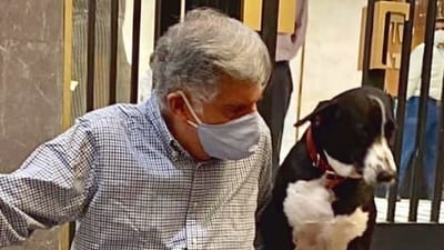 Ratan Tata with Goa, his favourite dog from the pack that called Bombay House their home (Instagram/@ratantata) Ratan Tata with Goa, his favourite dog from the pack that called Bombay House their home (Instagram/@ratantata)