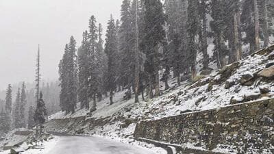 Sinthan Top covered in snow after a fresh spell in Anantnag district of Jammu and Kashmir on Monday. (PTI Photo) Sinthan Top covered in snow after a fresh spell in Anantnag district of Jammu and Kashmir on Monday. (PTI Photo)