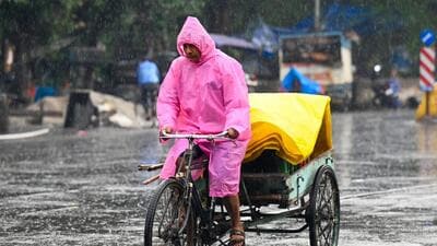 While the rainfall would help cleanse the atmosphere of pollutants, “short-term dust and pollen disturbance may occur before the rain sets in, followed by a marked improvement in air quality by midweek”, said Skymet Weather’s vice president (meteorology and climate change) Mahesh Palawat. (Sunil Ghosh/HTPhoto) While the rainfall would help cleanse the atmosphere of pollutants, “short-term dust and pollen disturbance may occur before the rain sets in, followed by a marked improvement in air quality by midweek”, said Skymet Weather’s vice president (meteorology and climate change) Mahesh Palawat. (Sunil Ghosh/HTPhoto)