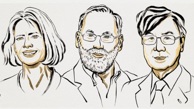 Scientists Mary Brunkow (left), Fred Ramsdell (center) and Shimon Sakaguchi (right) will receive award from Sweden’s King Carl XVI Gustaf (X/The Nobel Prize)