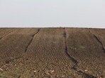 A plot of 7.67 acres at Raidurg in Hyderabad's IT corridor was auctioned by the state government for  <span class='webrupee'>₹</span>1,358 crore at the rate of  <span class='webrupee'>₹</span>177 crore per acre, (Photo for representational purposes only)