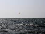 Florida rip current warning: Several coasts under threat as swimmers urged to remain alert (Unsplash - representational image)