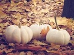 The Old Farmer’s Almanac reveals Thanksgiving 2025 forecast for all U.S. regions(Unsplash)