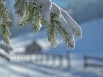 Snowfall and freezing conditions trigger widespread NWS warnings across US