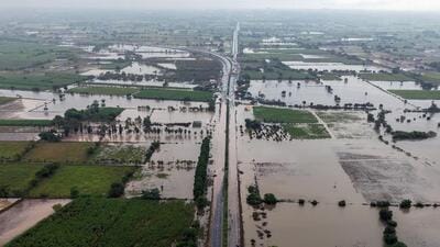 29 districts have been affected by the floods that recently battered Marathwada and western Maharashtra, impacting hundreds of thousands of farmers. (Raju Shinde/ HT Photo) 29 districts have been affected by the floods that recently battered Marathwada and western Maharashtra, impacting hundreds of thousands of farmers. (Raju Shinde/ HT Photo)