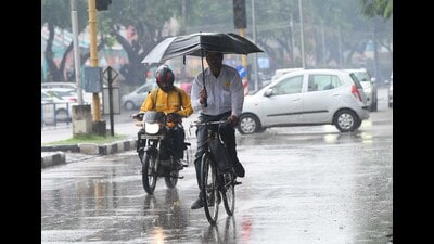 Commuters making their way amid the rain in Chandigarh on Tuesday. (Keshav Singh/HT) Commuters making their way amid the rain in Chandigarh on Tuesday. (Keshav Singh/HT)