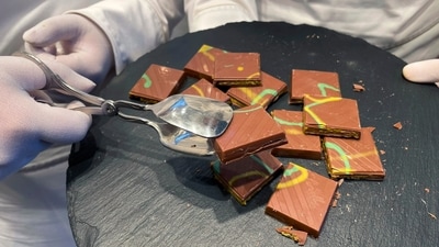 The primary reason for the pistachio shortage is reportedly “the explosive surge in demand fueled by the viral ’Dubai chocolate’ TikTok trend, compounded by underlying supply constraint.” (AP file photo) The primary reason for the pistachio shortage is reportedly “the explosive surge in demand fueled by the viral ’Dubai chocolate’ TikTok trend, compounded by underlying supply constraint.” (AP file photo)
