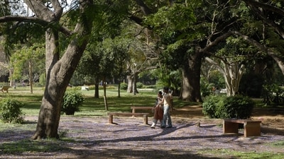 The Lalbagh Botanical Garden in Bengaluru (Hemant Mishra/ Mint/ Hindustan Times Media)