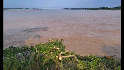 The revetments, built to shield the village from flooding, have settled into the river under pressure. (HT Photo)