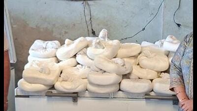 The seized paneer in Chutehra village of Samana block in Patiala.