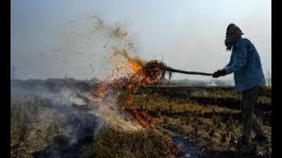 Two of the reported fires were found to be non-agricultural in nature. Two of the reported fires were found to be non-agricultural in nature.