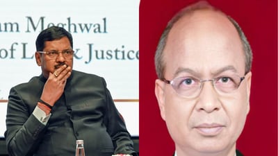 The 72-year-old lawyer attempted to hurl a shoe at Chief Justice of India (CJI) Bhushan R Gavai. (PTI/HT Photo)