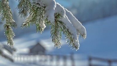 Snowfall and freezing conditions trigger widespread NWS warnings across US (Pixabay) Snowfall and freezing conditions trigger widespread NWS warnings across US (Pixabay)