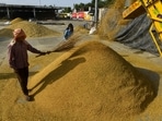 Workers dry paddy at a grain market in Jalandhar on Tuesday. (PTI) Workers dry paddy at a grain market in Jalandhar on Tuesday. (PTI)