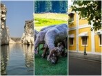 Wander through India’s scenic escapes, mirroring global charm from Kashmir tulips to Coorg hills.(Pexels and Unsplash)