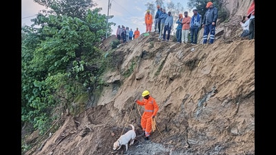 NDRF personnel look for survivors after debris from a massive landslide hit a passenger bus Tuesday night, near Bilaspur on Wednesday. (AP) NDRF personnel look for survivors after debris from a massive landslide hit a passenger bus Tuesday night, near Bilaspur on Wednesday. (AP)