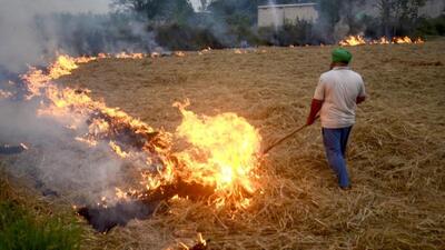 Representatives from the four northern states briefed officials on the implementation of stubble management schemes in their respective states (PTI) Representatives from the four northern states briefed officials on the implementation of stubble management schemes in their respective states (PTI)