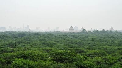 The idea of a unified authority to govern the Ridge – often called Delhi’s “green lungs”. (Hindustan Times) The idea of a unified authority to govern the Ridge – often called Delhi’s “green lungs”. (Hindustan Times)
