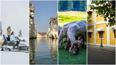 Wander through India’s scenic escapes, mirroring global charm from Kashmir tulips to Coorg hills. (Pexels and Unsplash) Wander through India’s scenic escapes, mirroring global charm from Kashmir tulips to Coorg hills. (Pexels and Unsplash)