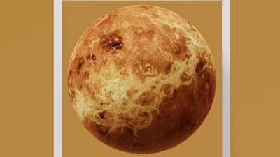 Venus transit Virgo 2025 predictions for each sign. Venus transit Virgo 2025 predictions for each sign.