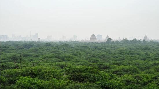 The idea of a unified authority to govern the Ridge – often called Delhi’s “green lungs”. (Hindustan Times)